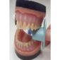 dental finger shield demo on teeth