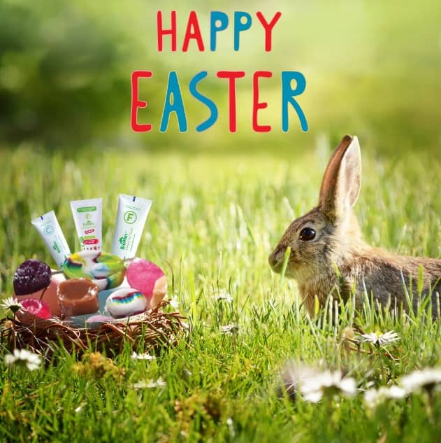 Happy Easter - bunny sitting on the grass with toothpaste basket beside it