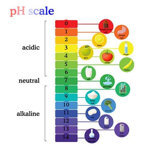 Image showing the PH Scale