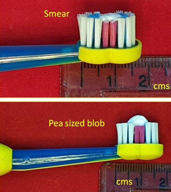 toothbrushes showing toothpaste amount smear or pea sized blob