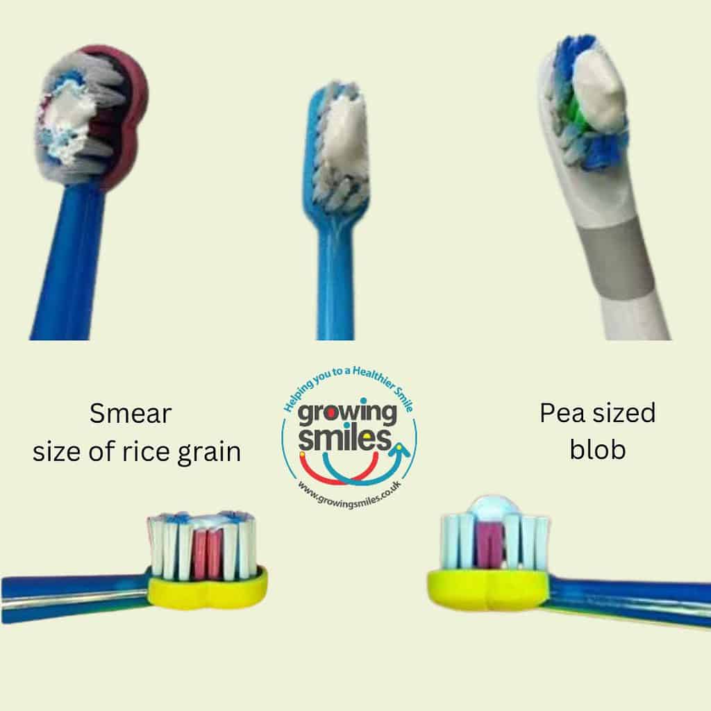 Smear v pea sized blob to toothpaste